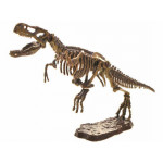 T-REX 3D – súprava na výkop Dinosaura